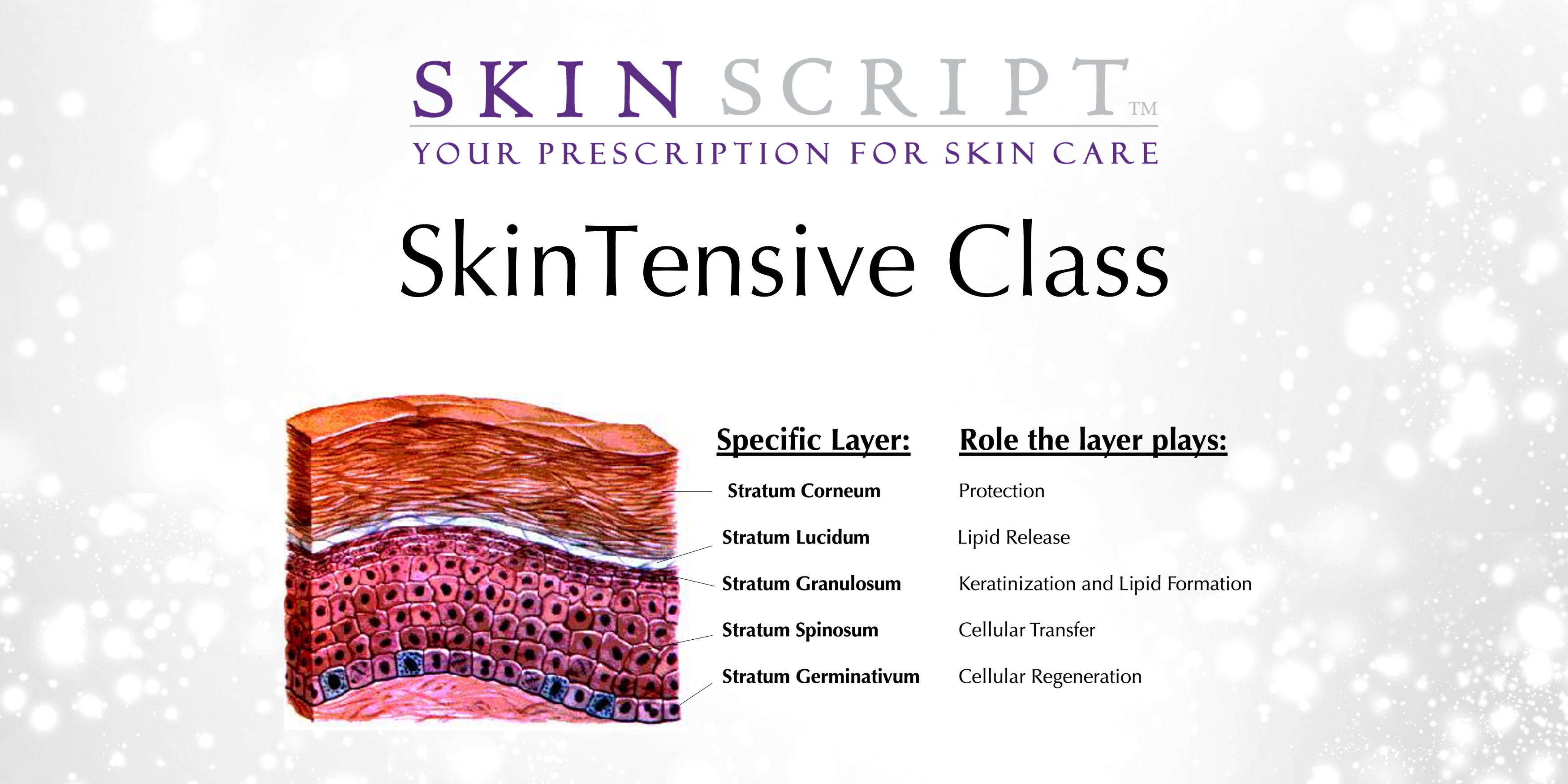 SkinTensive Class featured image