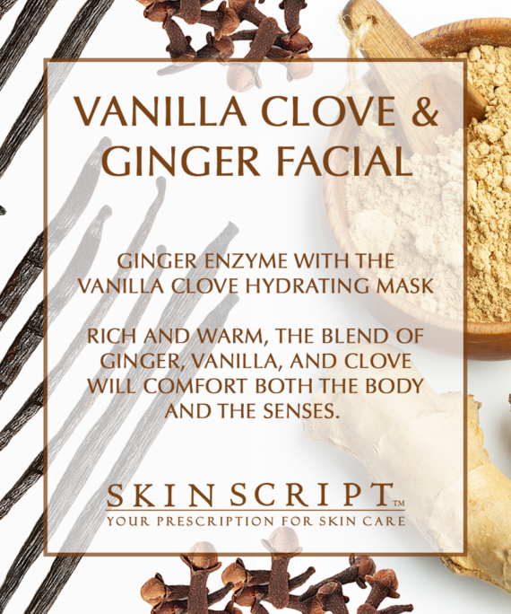 Vanilla Clover Ginger Graphic