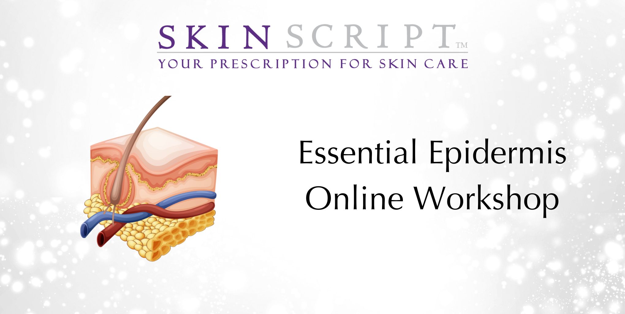 Essential Epidermis Workshop featured image